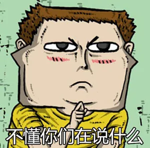 不懂你们在说什么
