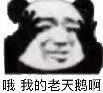 哦.我的老天鹅啊