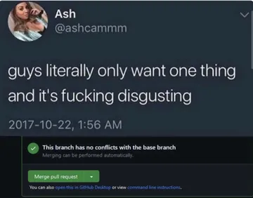 The Only Green Flag Developers Need