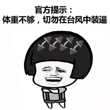 官方提示：体重不够，切勿在台风中装逼