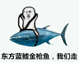 东方蓝鲸金枪鱼.我们走!