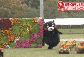 熊本熊跑步表情