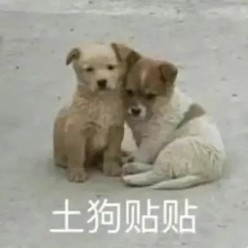 土狗贴贴