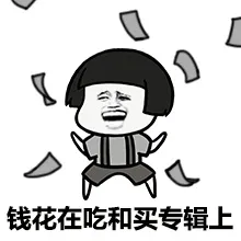 钱花在吃和买专辑上