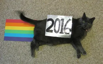 Nyan cat