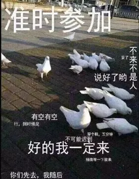 鸽友会