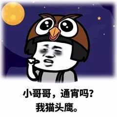 小哥哥.通宵吗?我猫头鹰.