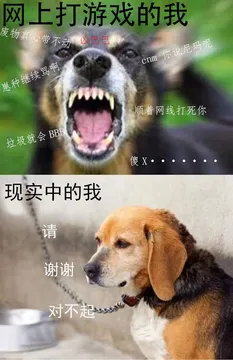 网上打游戏的我