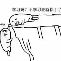 学习吗?不学习我就松手了学