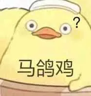 马鸽鸡