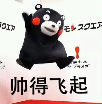 帅的飞起