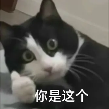 你是这个