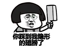 你踩到我隐形的翅膀了