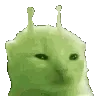 绿色外星小猫魔性跳舞gif