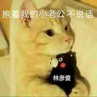 抱着我的小老公不说话（林彦俊）