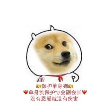 保护单身狗