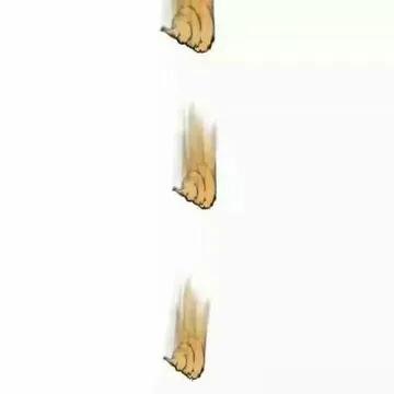 迅速掉落的粑粑