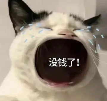 没钱了!