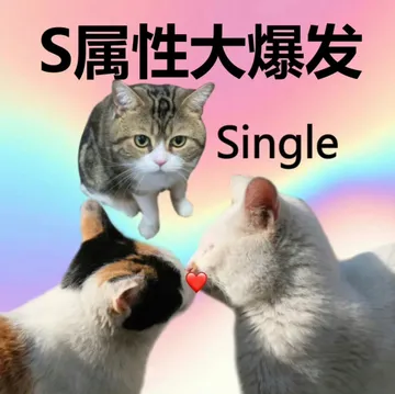 S属性大爆发Single