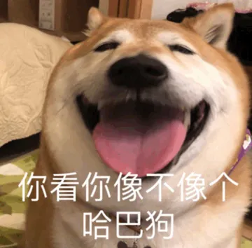 你看你像不像个哈巴狗（大嘴狗表情包）