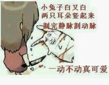 小兔子白又白，两只耳朵竖起来，割完静脉割动脉，一动不动真可爱