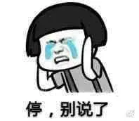 停，别说了