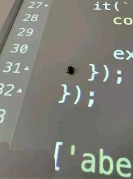 The Most Literal Bug In Programming History