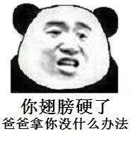 你翅膀硬了，爸爸拿你没什么办法