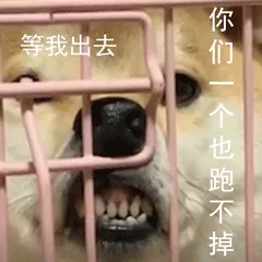柴犬小Q来斗图