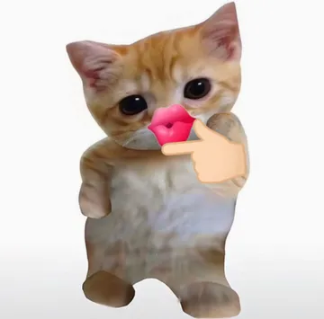 小猫咪自拍表情包
