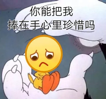 你能把我碰倒手心了珍惜吗