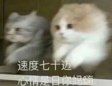 速度七干选心情是目如