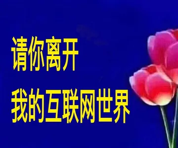 请你离开我的互联网世界