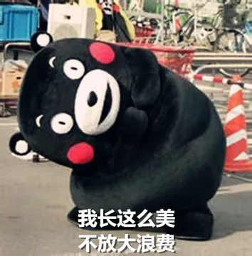 我长这么美，不放大浪费