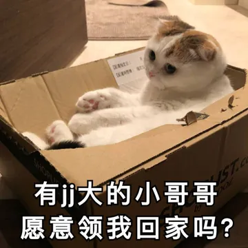 有jj大的小哥哥愿意领我回家吗？