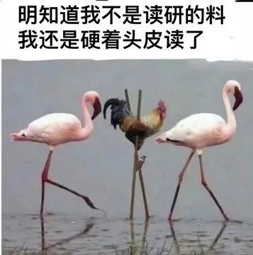 明知道我不是读研的料我还是硬着头皮读了