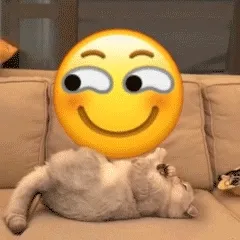 猫咪盘小黄脸 emoji