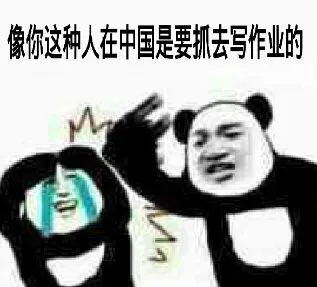 像你这种人.在中国是要抓去写作业的
