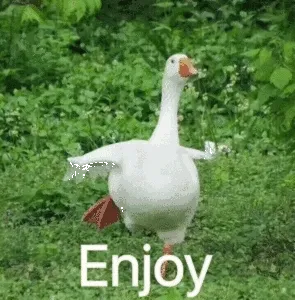 Enjoy(鸭子)