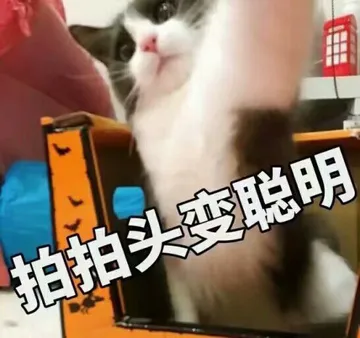 拍拍头变聪明