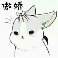 傲娇的兔子