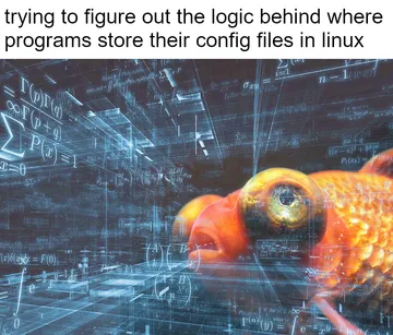 srsly they're all over the place