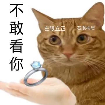 不敢看你左眼立正右眼稍息