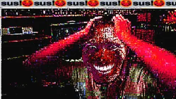 Sus