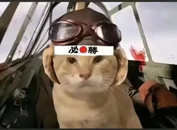 耄耋敢死队