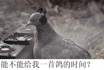 鸽子00004-能不能给我一首歌的时间