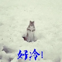好冷啊