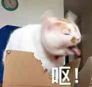 呕!