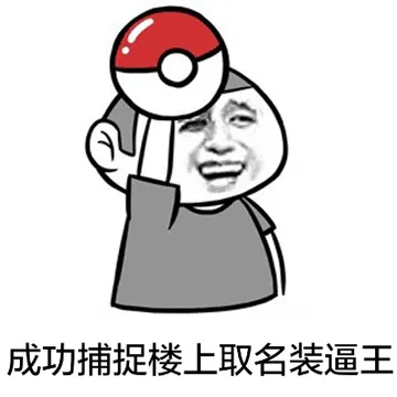 成功捕捉楼上取名装逼王