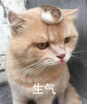 生气